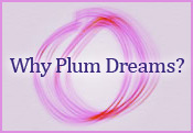 Why Plum Dreams?